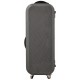 Oblong violin case Fiberglass Travel 4/4 M-case Black Special