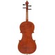 Handmade 4/4 violin by a master luthier M-tunes No.900 Competition