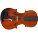 Geige (Violine) 4/4 M-tunes No.250 hölzern - spielbereit + Profi