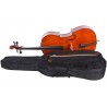 Cello 3/4 M-tunes No.100 wood - for learners
