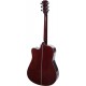 Gitara akustyczna 4/4 41" M-tunes MTF168C