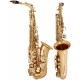 Altsaxophon Es, Eb Fis Concert M-tunes - Gold