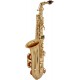 Alto Saxophone Es, Eb Fis SaxA0110G M-tunes - Gold