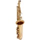 Alto Saxophone Es, Eb Fis SaxA1110G M-tunes - Gold