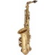 Altsaxophon Es, Eb Fis SaxA1110G M-tunes - Gold