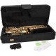 Altsaxophon Es, Eb Fis SaxA1110G M-tunes - Gold