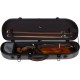 Half moon violin case Fiberglass Street 4/4 M-case Carbon Looking