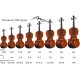 Violon 4/4 M-tunes No.100 en bois - pour les étudiants