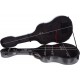 Shaped classical guitar case Fiberglass 39" UltraLight 4/4 M-case Black Point
