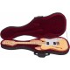 Electric guitar Telecaster TL M-tunes MTJ140 Thinline Style