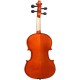 Geige (Violine) 3/4 M-tunes No.100 hölzern - spielbereit