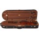 Oblong Hard Violin Case 4/4 UltraLux M-case Paisley Honey